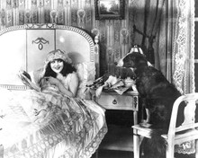 Heart of Romance 1918 June Caprice sits in bed with dog on chair 8x10 photo