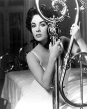 Elizabeth Taylor holds onto brass bed The Long Hot Summer 8x10 inch photo