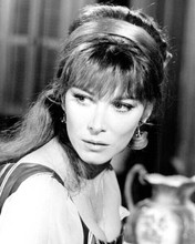 Lee Grant guests on The Big Valley 1967 The Lady from Mesa 8x10 inch photo