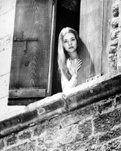 Judi Bowker looks out of window 1972 Brother Son Sister Moon 8x10 inch photo