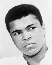 Mohammad Ali gives his iconic stare 1967 portrait 8x10 inch photo