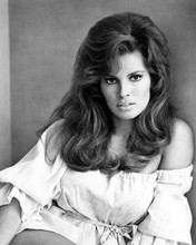 Raquel Welch sultry look in white dress bare shoulder 8x10 inch photo