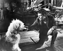 Chitty Chitty Bang Bang Dick Van Dyke greets Edison the dog 8x10 inch photo