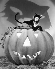 Yvonne De Carlo poses in cat outfit on top of Halloween pumpkin 8x10 photo