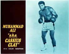 Muhammad Ali aka Cassius Clay 11x14 inch movie poster