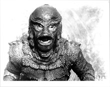 Creature From The Black Lagoon portrait of the Gill Man 8x10 inch photo