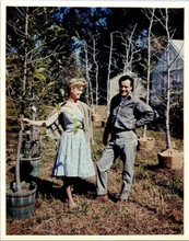 Days of Wine and Roses 1962 Jack Lemmon Lee Remick choose Christmas tree 8x10
