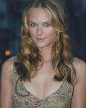 Rachel Blanchard Low Cut Dress Glam Shot 8x10 Photograph