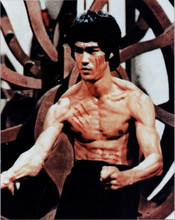 Bruce Lee beefcake bare-chested showing his muscles in action pose 8x10 photo