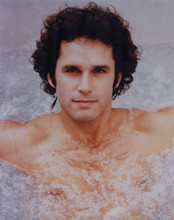 Gregory Harrison 1970's TV star Logan's Run beefcake in pool 8x10 photo