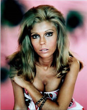 Nancy Sinatra shows cleavage in this 1960's studio portrait 8x10 inch photo