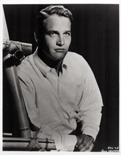 Paul Newman Gorgeous Headshot 8x10 Photograph