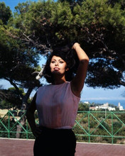 Sophia Loren in sleeveless white blouse 1960's poses for press 8x10 photo