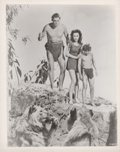 Tarzan Johnny Weissmuller Maureen O'Sullivan Johnny Sheffield & lions 8x10 photo