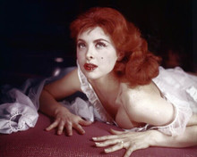 Tina Louise 1960's glamour pose with dress pulled down on bed 8x10 inch photo