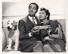 Thin Man series William Powell Myrna Loy and Astor on sofa 8x10 inch photo