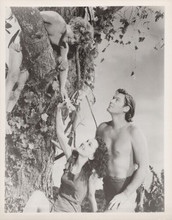 Tarzan movie Weissmuller O'Sullivan look at Sheffield in tree 8x10 inch photo