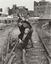 Men At Work 1980's Australian legendary rock band 8x10 inch photo