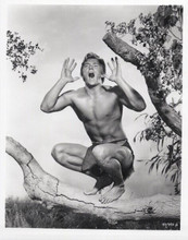 Denny Miller gives his Tarzan yell posing on tree branch 8x10 inch photo