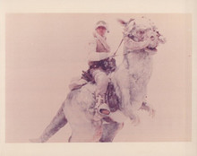 Star Wars Empire Strikes Back Mark Hamill riding creature vintage 8x10 photo