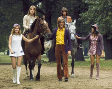 The New Seekers British pop band 1972 publicity pose with horses 8x10 photo