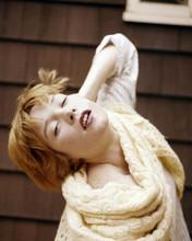 Shirley Maclaine 1960's pose in yellow sweater looking upwards 8x10 photo