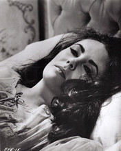 Elizabeth Taylor lies back in bed Reflections in a Golden Eye 8x10 inch photo