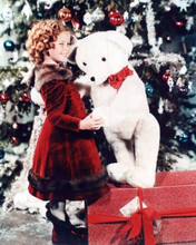 Shirley Temple poses by Christmas tree with white teddy bear 8x10