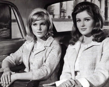 The Pleasure Seekers 1964 Carol Lynley Pamela Tiffin sit in car 8x10 inch photo