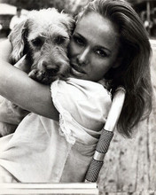 Ursula Andress relaxes on Dr. No 1962 film set with dog 8x10 inch photo