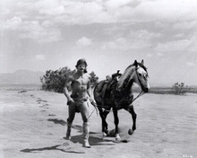 Charles Bronson bare chested leads horse in desert 1971 Chato's Land 8x10 photo