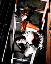 Halle Berry as Catwoman posing on ladder 8x10 inch photo
