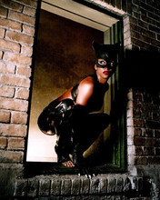 Halle Berry crouches in window as Catwoman 2004 publicity pose 8x10 inch photo
