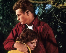 Rebel Without A Cause James Dean comforts Natalie Wood 8x10 inch photo