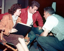 Rebel Without A Cause director Nicholas Ray Natalie Wood James Dean 8x10 photo