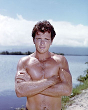 Ron Ely beefcake bare chested as Tarzan from 1966 TV series 8x10 inch photo