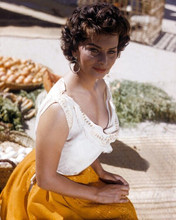 Sophia Loren 1957 in low cut white blouse and yellow skirt 8x10 inch photo