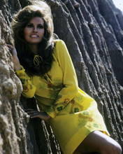 Raquel Welch poses against mountainside in yellow mini dress 8x10 inch photo