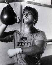 Sylvester Stallone belts punching bag in 1976 Rocky 8x10 inch photo