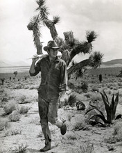 Steve McQueen walking in desert by cactus 1966 Nevada Smith 8x10 inch photo
