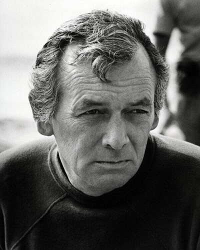 David Janssen wearing sweatshirt on beach 1974 Harry O TV series 8x10 ...