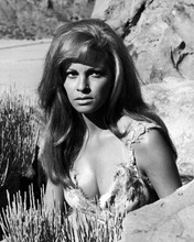Raquel Welch as cave girl Loana by rocks One Million Years BC 8x10 inch photo