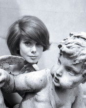 Catherine Deneuve 1960's era with dark hair poses by statue 8x10 inch photo