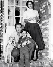 Audie Murphy 1950's at home with his wife son & dog 8x10 inch photo