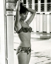 Claudine Auger 1965 in bikini on set James Bond Thunderball 8x10 inch photo