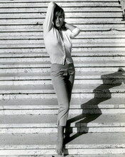 Ursula Andress 1962 strikes pose in sheer sweater & Capri pants 8x10 inch photo