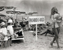 Ann-Margret walks on Malaga beach 1965 The Pleasure Seekers 8x10 inch photo