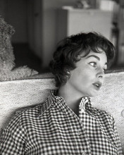Jean Simmons 1950's portrait in checkered shirt 8x10 inch photo