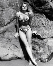Karen Jensen gorgeous 1960's full body pose in bikini on beach 8x10 inch photo