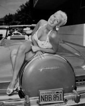 Jayne Mansfield sits on the trunk of 1956 Lincoln convertible 8x10 inch photo